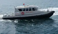 টাউবোট বিক্রির জন্য