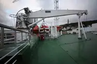 বাল্ক বাহক বিক্রির জন্য