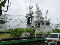 পার্স সেইনার বিক্রির জন্য