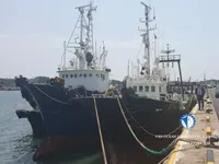 ট্রলার বিক্রির জন্য