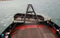 টাউবোট বিক্রির জন্য
