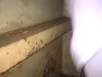 তেল/রাসায়নিক ট্যাঙ্কার বিক্রির জন্য