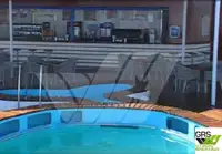 Ro-Ro ship বিক্রির জন্য