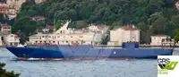 Ro-Ro ship বিক্রির জন্য
