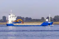 বাল্ক ক্যারিয়ার বিক্রির জন্য