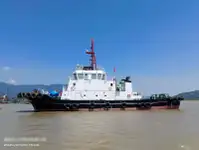 টাউবোট বিক্রির জন্য