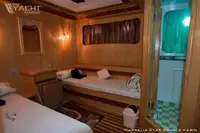 ডাইভ সাপোর্ট বিক্রির জন্য