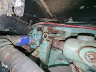 ক্রুজফেরি বিক্রির জন্য