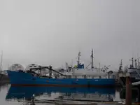 বাল্ক বাহক বিক্রির জন্য