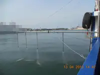 বাল্ক বাহক বিক্রির জন্য