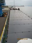 বাল্ক বাহক বিক্রির জন্য