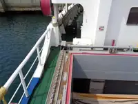 বাল্ক বাহক বিক্রির জন্য