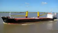 বাল্ক ক্যারিয়ার বিক্রির জন্য