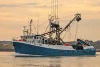 Purse seiner বিক্রির জন্য