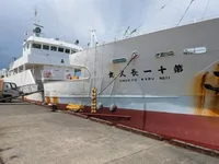 লংলাইনার বিক্রির জন্য