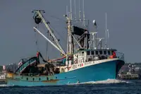 Purse seiner বিক্রির জন্য