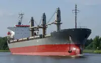 বাল্ক ক্যারিয়ার বিক্রির জন্য