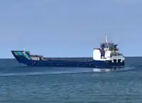 বাল্ক ক্যারিয়ার বিক্রির জন্য