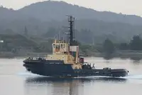 টাউবোট বিক্রির জন্য