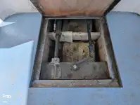 ক্রুজফেরি বিক্রির জন্য