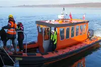রিজিড ইনফ্লেটেবল বোট বিক্রির জন্য