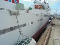 প্যাট্রোল বোট বিক্রির জন্য