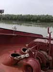 বাল্ক বাহক বিক্রির জন্য