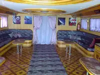 ডাইভ সাপোর্ট বিক্রির জন্য