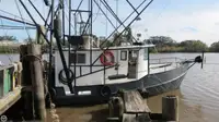 Trawler বিক্রির জন্য
