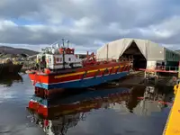 Ro-Ro ship বিক্রির জন্য