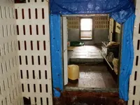 লংলাইনার বিক্রির জন্য