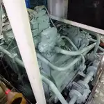 পার্স সেইনার বিক্রির জন্য