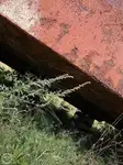 বার্জ বিক্রির জন্য