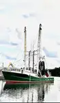 Trawler বিক্রির জন্য