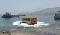 অ্যাম্ফিবিয়াস বিক্রির জন্য