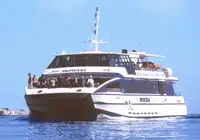 ক্যাটামারান বিক্রির জন্য
