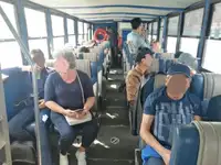 অ্যাম্ফিবিয়াস বিক্রির জন্য
