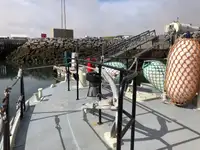লাইফবোট বিক্রির জন্য