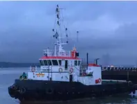 টাউবোট বিক্রির জন্য