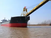 বাল্ক বাহক বিক্রির জন্য