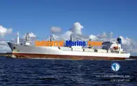 রিফার জাহাজ বিক্রির জন্য