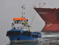 টাউবোট বিক্রির জন্য