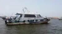 পাইলট বোট বিক্রির জন্য
