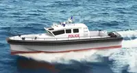 টহল নৌকা বিক্রির জন্য