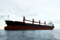 বাল্ক ক্যারিয়ার বিক্রির জন্য