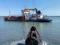 ড্রেজার বিক্রির জন্য