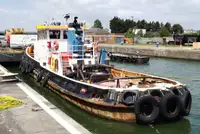 টাউবোট বিক্রির জন্য