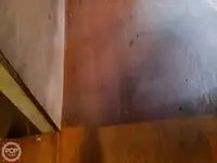 ফেরি জাহাজ বিক্রির জন্য