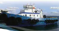টাউবোট বিক্রির জন্য