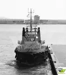 টাউবোট বিক্রির জন্য
